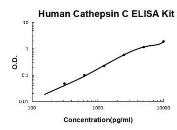 Human Cathepsin C ELISA Kit