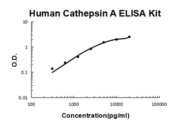 Human Cathepsin A ELISA Kit