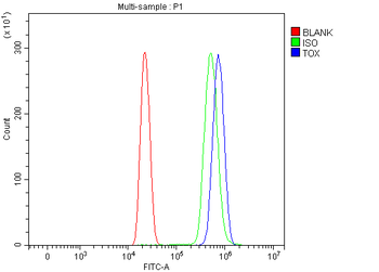 Anti-TOX Antibody