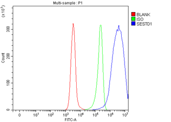 Anti-Solo/SESTD1 Antibody