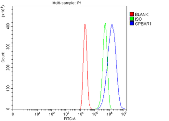 Anti-GPCR TGR5/GPBAR1 Antibody