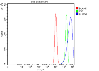 Anti-Eph receptor A3/EPHA3 Antibody