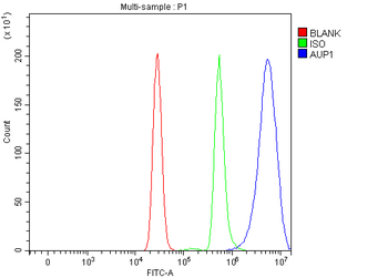 Anti-AUP1 Antibody