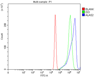 Anti-ALAS2/ASB Antibody