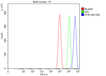 Anti-Poliovirus Receptor/PVR Antibody (monoclonal, 3B11E9)