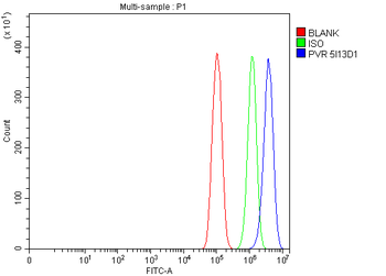 Anti-Poliovirus Receptor/PVR Antibody (monoclonal, 5I13D1)