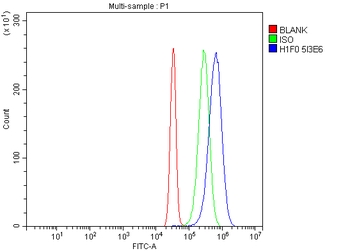 Anti-Histone H1.0/H1F0 Antibody (monoclonal, 5I3E6)