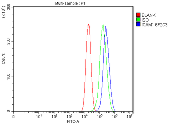 Anti-ICAM1 Antibody (monoclonal, 6F2C3)