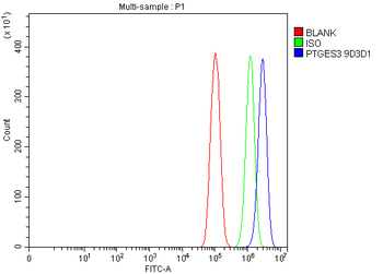 Anti-p23/PTGES3 Antibody (monoclonal, 9D3D1)