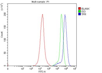 Anti-TPR Antibody