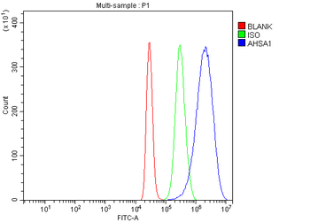 Anti-AHA1/AHSA1 Antibody