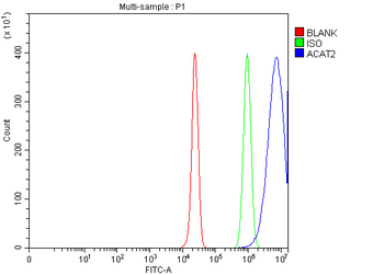 Anti-ACAT2 Antibody