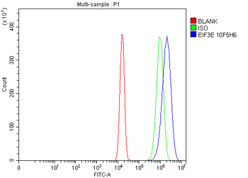 Anti-EIF3e Antibody (monoclonal, 10F5H6)