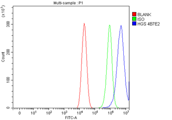 Anti-HGS Antibody (monoclonal, 4B7E2)