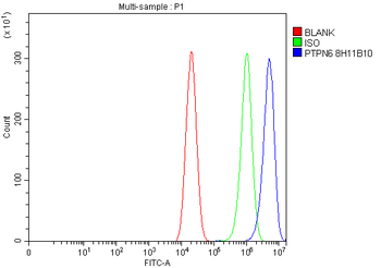 Anti-SHP1/PTPN6 Antibody (monoclonal, 8H11B10)
