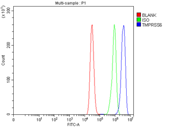 Anti-Matriptase 2/TMPRSS6 Antibody