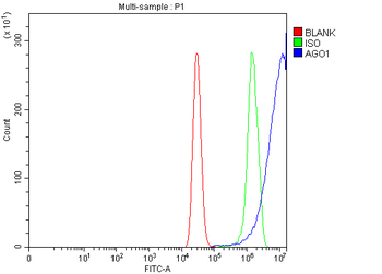 Anti-AGO1 Antibody