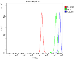 Anti-P Glycoprotein/ABCB1 Antibody