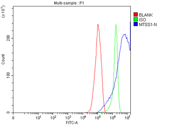 Anti-MIM/MTSS1 Antibody
