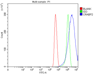Anti-CRABP2 Antibody
