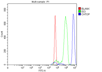 Anti-C1orf77/FOP/CHTOP Antibody