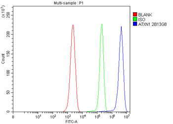 Anti-Ataxin 1 Antibody (monoclonal, 2B13G8)