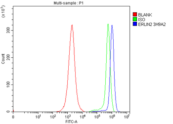 Anti-Erlin-2/ERLIN2 Antibody (monoclonal, 3H9A2)