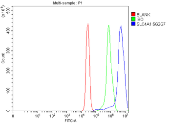 Anti-SLC4A1/CD233/Band 3 Antibody (monoclonal, 5G2G7)