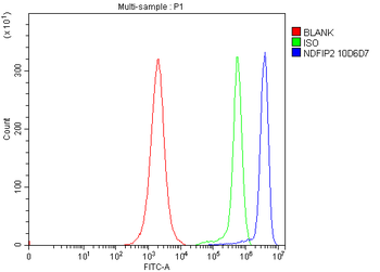 Anti-NDFIP2 Antibody (monoclonal, 10D6D7)