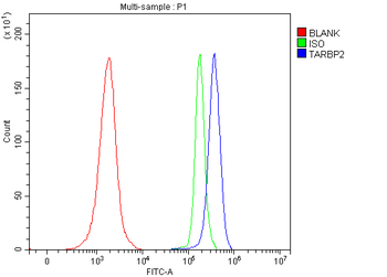 Anti-TRBP/TARBP2 Antibody