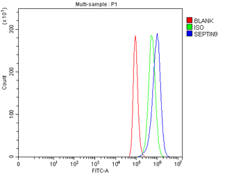 Anti-MSF/SEPTIN9 Antibody