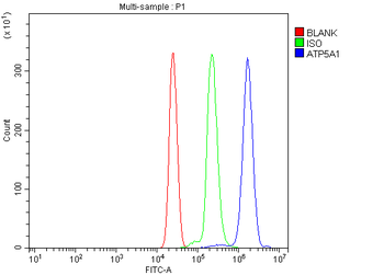 Anti-ATP5F1A Antibody