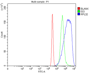 Anti-RPL32 Antibody