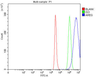 Anti-Amphiregulin/AREG Antibody