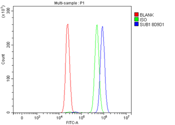 Anti-PC4/SUB1 Antibody (monoclonal, 8D9D1)