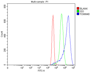 Anti-TOMM40 Antibody