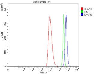 Anti-TAAR6 Antibody