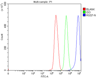 Anti-RGS7 Antibody
