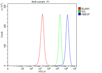 Anti-DTR/HBEGF Antibody