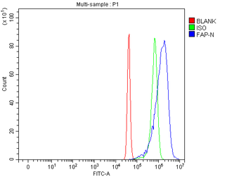 Anti-Fibroblast activation protein, alpha/FAP Antibody