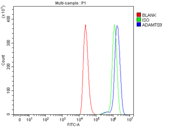 Anti-ADAMTS9 Antibody