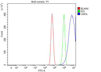 Anti-VAPA Antibody