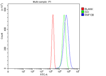 Anti-HSD-4/RNF138 Antibody