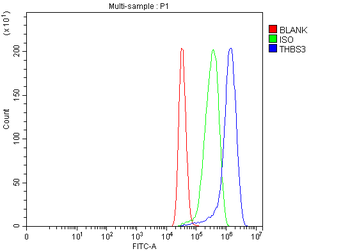 Anti-THBS3 Antibody