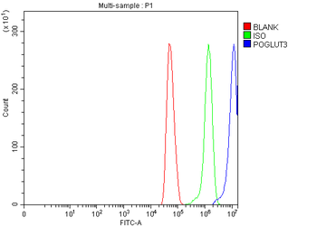 Anti-POGLUT3 Antibody