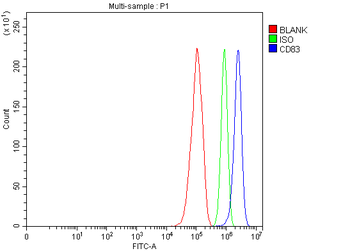 Anti-CD83 Antibody