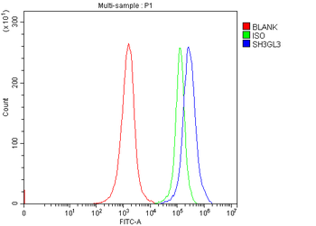 Anti-SH3GL3 Antibody
