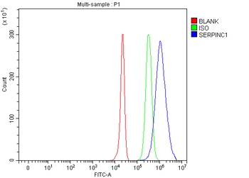Anti-Antithrombin III/SERPINC1 Antibody