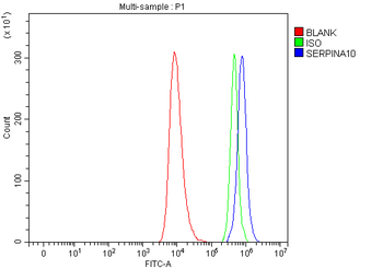 Anti-ZPI/SERPINA10 Antibody