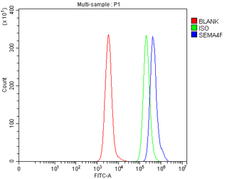 Anti-SEMA4F Antibody